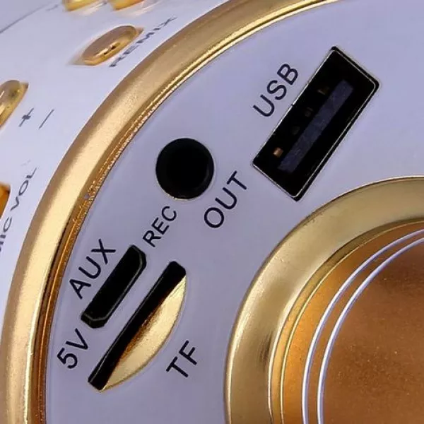 Беспроводной микрофон для караоке Wester  WS-858 Gold - фото 4