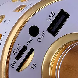 Беспроводной микрофон для караоке Wester  WS-858 Gold - миниатюра 4