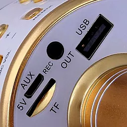 Беспроводной микрофон для караоке Wester WS-858 Gold - миниатюра 4 Беспроводной микрофон для караоке Wester WS-858 Gold - миниатюра 4