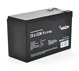 Аккумуляторная батарея Merlion 12V 9Ah (EV 6-DZM-9/14043)