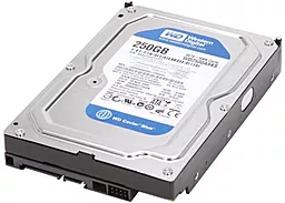 Жесткий диск Western Digital Caviar Blue 7200rpm 16MB 250GB (WD2500AAKS_) - фото Жесткий диск Western Digital Caviar Blue 7200rpm 16MB 250GB (WD2500AAKS_)