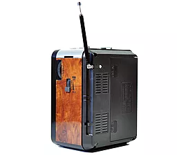 Радіоприймач Golon RX-9100 Wooden - мініатюра 2