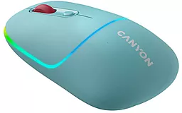Компьютерная мышка Canyon MW-22 (CNS-CMSW22DC) dark cyan - фото Компьютерная мышка Canyon MW-22 (CNS-CMSW22DC) dark cyan