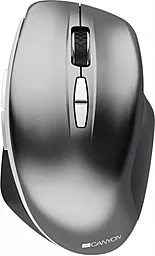 Компьютерная мышка Canyon USB (CNS-CMSW21DG) Dark Gray