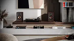 Колонки акустичні Sharp CP-SS30 Brown - мініатюра 9 Колонки акустичні Sharp CP-SS30 Brown - мініатюра 9