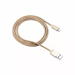 Кабель Canyon USB-A - Lightning 12w 2.4a 1м cable Gold (CNS-MFIC3GO)