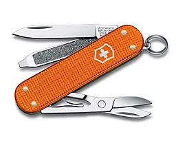 Мультитул Victorinox Classic SD (0.6221.L21)