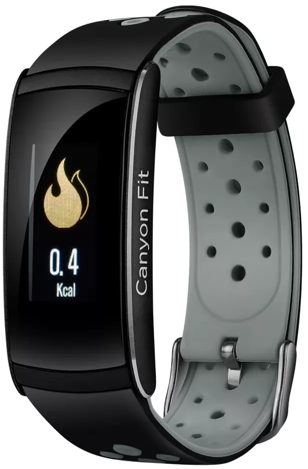 Фітнес-браслет Canyon CNS-SB41BR Black/Gray - фото 1