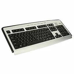 Клавіатура A4Tech PS/2 (KLS-23MU) Silver/ Black