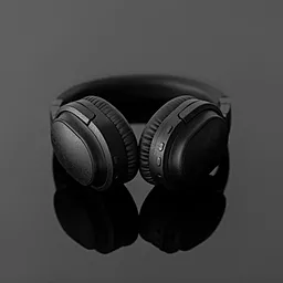 Наушники Final Audio UX3000 Black - миниатюра 4 Наушники Final Audio UX3000 Black - миниатюра 4