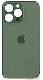 Задня кришка корпусу Apple iPhone 13 Pro Max (big hole) Original Alpine Green