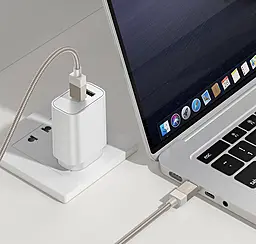 Кабель Hoco X110 USB Type-C - Type-C 60w 3a 1м PD cable Gold - мініатюра 3 Кабель Hoco X110 USB Type-C - Type-C 60w 3a 1м PD cable Gold - мініатюра 3