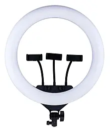 Кільцева лампа NICHOSI Fill Light QX-360 36cm 14" 192 lights