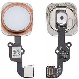Внешняя кнопка Home Apple iPhone 6s / iPhone 6s Plus со шлейфом Original Gold - фото Внешняя кнопка Home Apple iPhone 6s / iPhone 6s Plus со шлейфом Original Gold