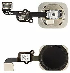 Внешняя кнопка Home Apple iPhone 6s / iPhone 6s Plus со шлейфом Original Space Gray - фото Внешняя кнопка Home Apple iPhone 6s / iPhone 6s Plus со шлейфом Original Space Gray