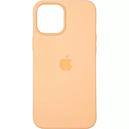 Чехол Apple Silicone case Magsafe and Animation iPhone 12 Pro Max Cantaloupe