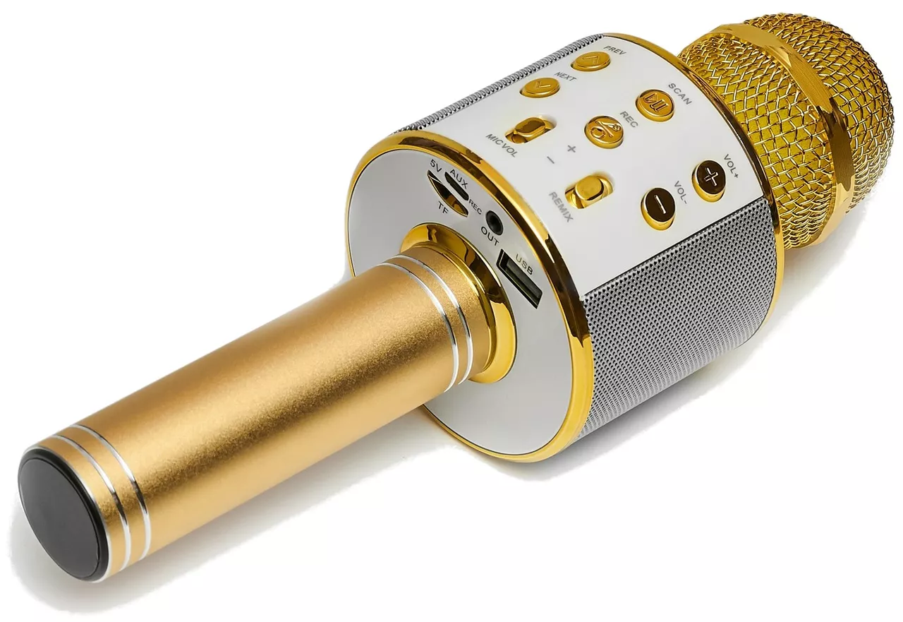 Беспроводной микрофон для караоке Wester  WS-858 Gold - фото 2