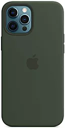 Чехол Apple Silicone case full with Magsafe для iPhone 12, iPhone 12 Pro Cyprus Green