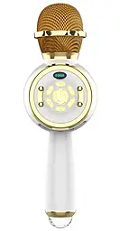 Микрофон-Колонка Epik DS810 Gold - фото Микрофон-Колонка Epik DS810 Gold