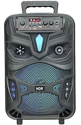 Колонки акустичні NICHOSI NDR-P55 Black - фото Колонки акустичні NICHOSI NDR-P55 Black