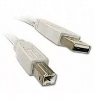 Кабель (шлейф) Cablexpert USB 2.0 AM/BM (CBL-USB2-AMBM-6) 1.8 м