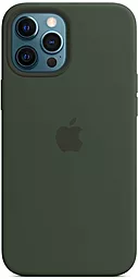 Чехол Apple Silicone Case Full with MagSafe and SplashScreen для Apple iPhone 12 Pro Max Cyprus Green