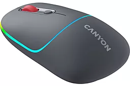 Комп'ютерна мишка Canyon MW-22 Dark Gray (CNS-CMSW22DG)