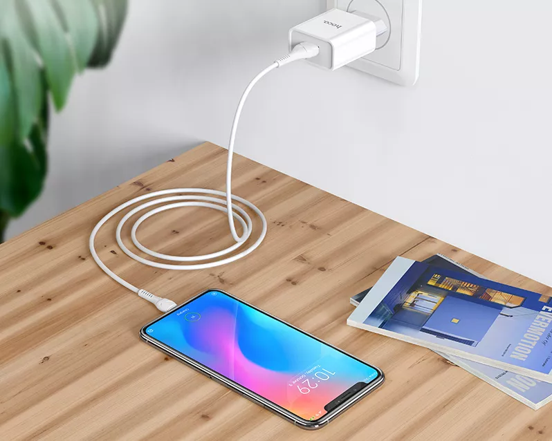 Сетевое зарядное устройство Hoco C81A 2.1a home charger + micro USB cable white - фото 6