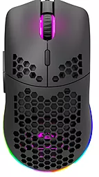 Компьютерная мышка Canyon Puncher GM-11 USB (CND-SGM11B)