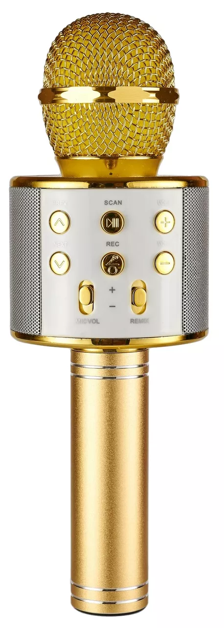 Беспроводной микрофон для караоке Wester  WS-858 Gold - фото 1