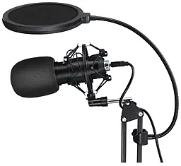 Мікрофон Blitzwolf BW-CM2 Black - мініатюра 3