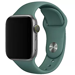 Сменный ремешок для умных часов для Apple watch 42mm/44mm/45mm/49mm Pine green