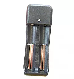Зарядний пристрій EasyLife TG-008 AA / AAA / 18650 1.2-4.2 В 1000 мАг