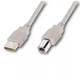 Кабель (шлейф) Atcom USB 2.0 AM/BM (6152)  з феритом 0.8м