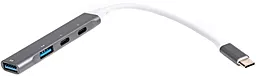 USB Type-C хаб Maxxter 4-in-1 silver (HU3C-4P-03) - фото USB Type-C хаб Maxxter 4-in-1 silver (HU3C-4P-03)
