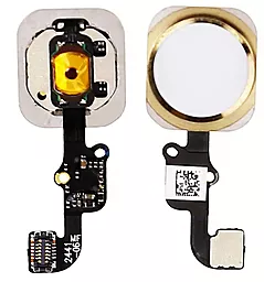 Шлейф Apple iPhone 6 Plus c кнопкой меню (Home) Gold - фото Шлейф Apple iPhone 6 Plus c кнопкой меню (Home) Gold