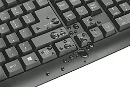 Комплект (клавиатура+мышка) Trust Classicline RU USB (21909) Black - миниатюра 3
