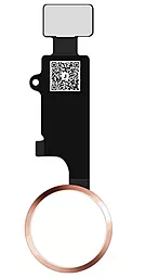 Шлейф Apple iPhone 7 / iPhone 7 Plus / iPhone 8 / iPhone 8 Plus / iPhone SE 2020 / iPhone SE 2022 с универсальной кнопкой Home Grand Duke Original Gold - фото Шлейф Apple iPhone 7 / iPhone 7 Plus / iPhone 8 / iPhone 8 Plus / iPhone SE 2020 / iPhone SE 2022 с универсальной кнопкой Home Grand Duke Original Gold