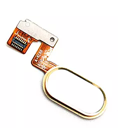 Шлейф Meizu M3 Note (L681H) с кнопкой Home (14 pin) Gold - фото Шлейф Meizu M3 Note (L681H) с кнопкой Home (14 pin) Gold