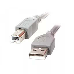 Кабель (шлейф) Cablexpert USB 2.0 AM/BM 1,8м (CCP-USB2-AMBM-6G) - миниатюра 2