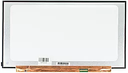 Матрица для ноутбука BOE NV161FHM-N61