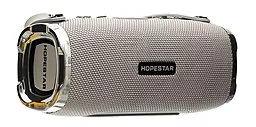 Колонки акустические Hopestar H24 Grey