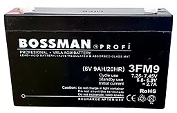 Акумуляторна батарея Bossman Profi 6V 9Ah (3FM9)