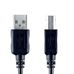 Кабель (шлейф) Bandridge ValueLine VCL4102 USB 2.0 2m