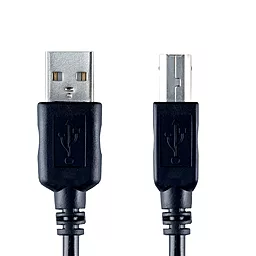 Кабель (шлейф) Bandridge ValueLine VCL4105 USB 2.0 4.5m