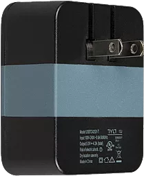 Сетевое зарядное устройство TYLT Wall Travel Charger 4,2A Dual USB Port Black-Gray (USBTC42BL-EUK) - миниатюра 2