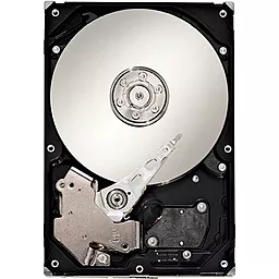 Жорсткий диск Seagate 250GB SV35.2 7200rpm 8MB (ST3250820AV)