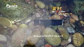 Фонарик Fenix E11 Cree XP-E LED Black - миниатюра 2