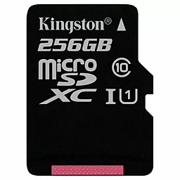 Карта пам'яті Kingston microSDXC 256GB Canvas Select Class 10 UHS-I U1 (SDCS/256GBSP)
