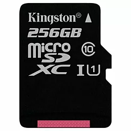 Карта пам'яті Kingston microSDXC 256GB Canvas Select Class 10 UHS-I U1 (SDCS/256GBSP) - фото Карта пам'яті Kingston microSDXC 256GB Canvas Select Class 10 UHS-I U1 (SDCS/256GBSP)